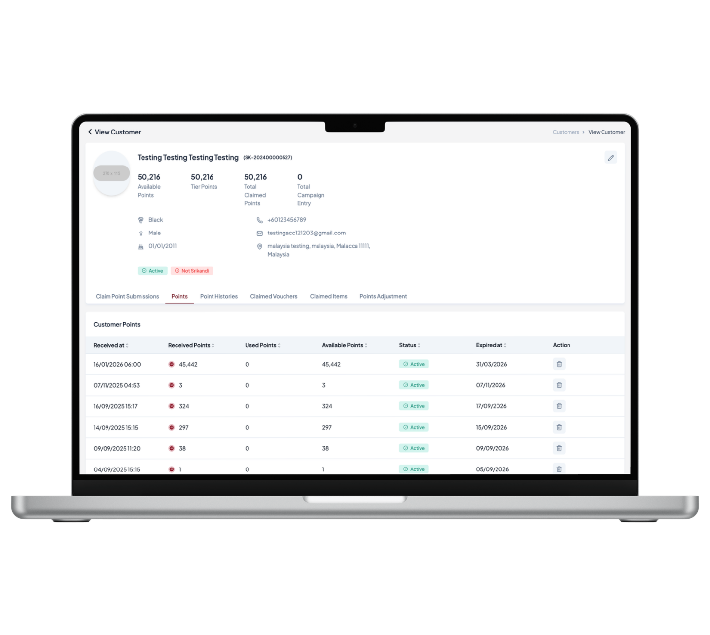 Managed CRM Interface Preview